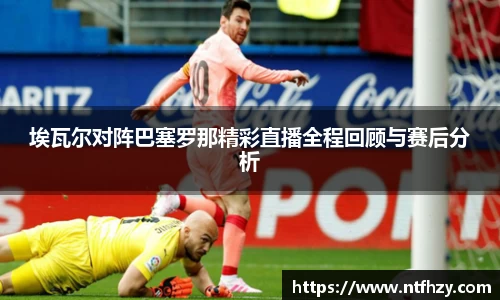 mk体育