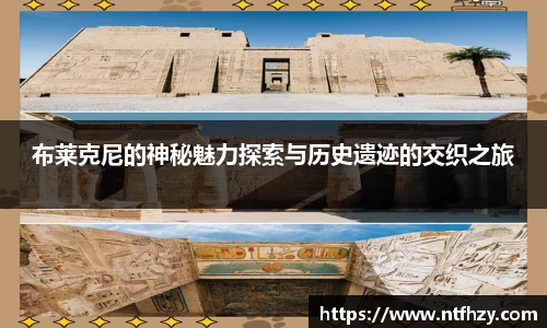 mk体育官方网站